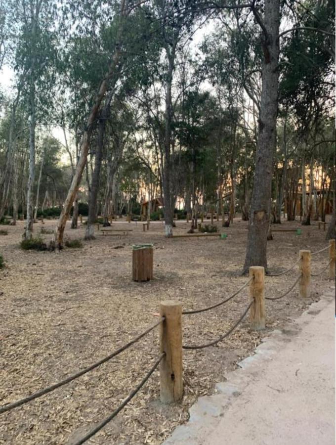 Cosy Appartement A 3Min De La Foret Et 5Min De La Plage Ταγγέρη Εξωτερικό φωτογραφία